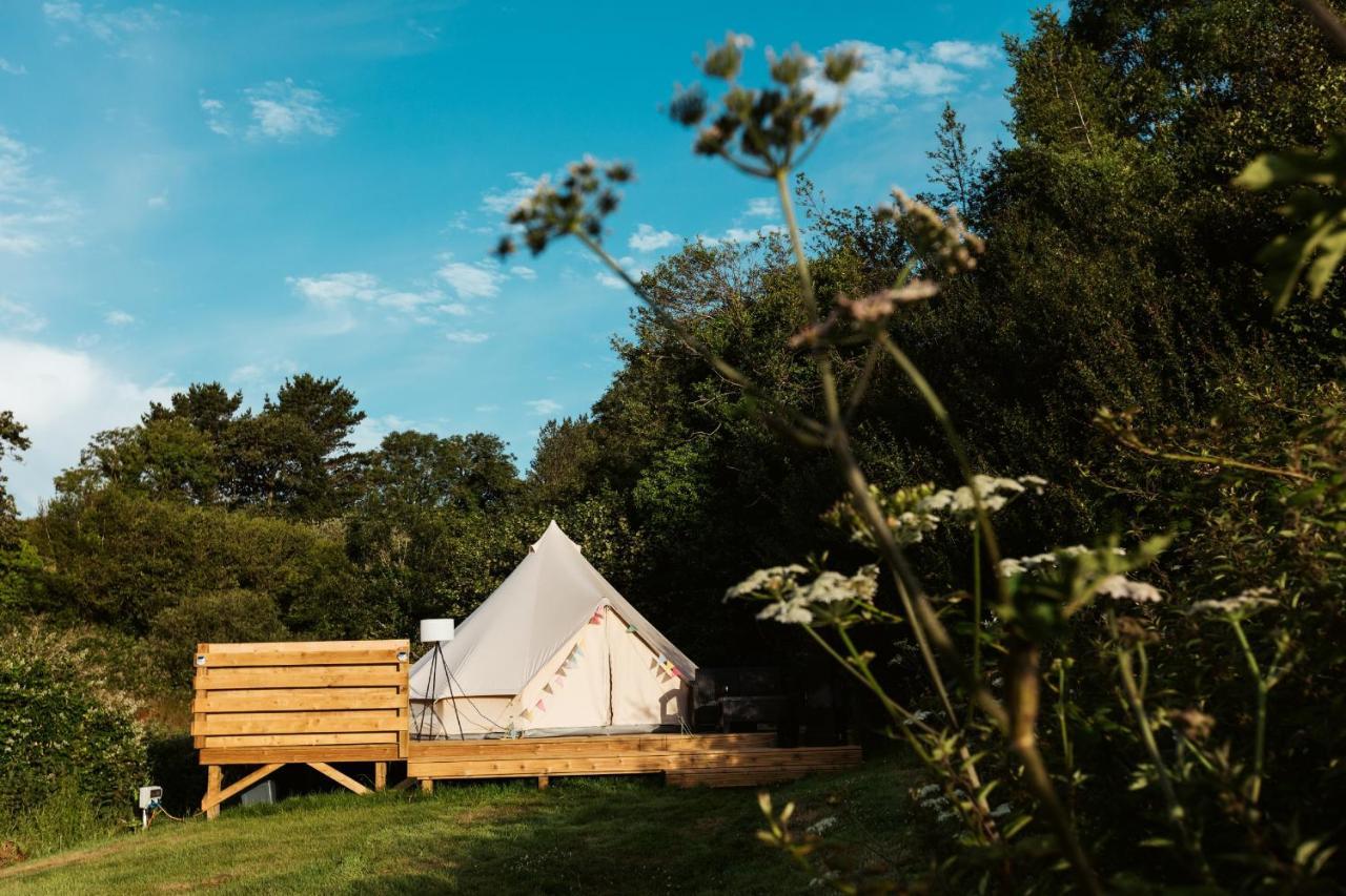 Willow Valley Bude Εξωτερικό φωτογραφία