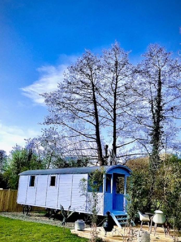 Willow Valley Bude Εξωτερικό φωτογραφία